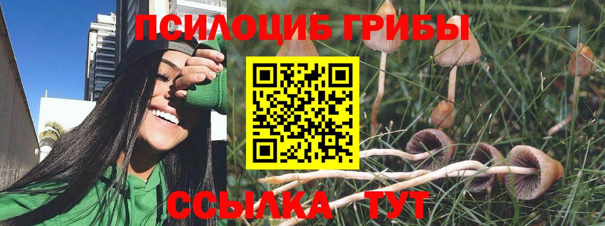 Галлюциногенные грибы GOLDEN TEACHER Алатырь
