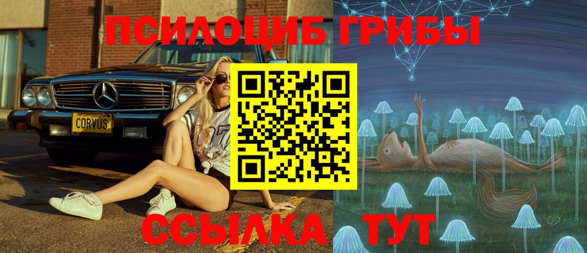 Галлюциногенные грибы MAGIC MUSHROOMS  Вход с VPN  Алатырь 